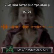 Майор Чернобаев У Дыровцев Такие Традиции