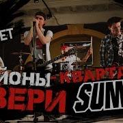 Звери Sum 41 Районы Кварталы Cover By Rock Privet