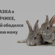 Сказка О Зайчике Который Обиделся На Свою Маму
