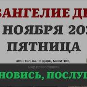 Евангелие Дня 1 Ноября 2024