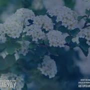 И Поймёшь Как Меня Не Хватает Влада Вершинина