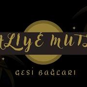 Aliye Mutlu Gesi Baglari