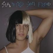 Sia Birds Set Free