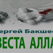 Бакшеев Книги