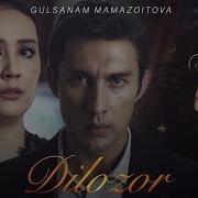 Dilozor