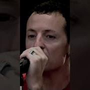 Ирина Алегрова Chester Bennington