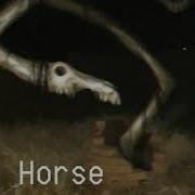 Long Horse Sound