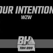 Wzw Your Intentions