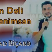 Ferhad Bicare Sen Deli Seytanimsan 2020 Menim Ureyim Canimsan