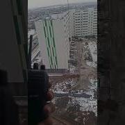Заяц Ты Меня Слышишь Волк Иди Ты Нахуй