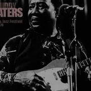 Бг Muddy Waters