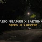 Lagu Jawa Raiso Ngapusi X Saktenane Speed Up Reverb