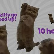 Go Kitty Go 10 Hours