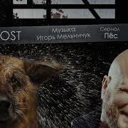 Сериал Пес Тема Кросс