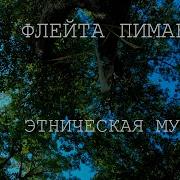 Флейта Североамериканских Индейцев У Подножия Тополей Этническая Музыка И Пение Птиц