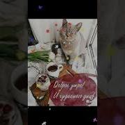 Я Желаю Друзья Вам Чистого Синего Неба