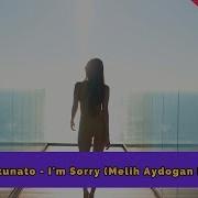 Nando Fortunato I M Sorry Melih Aydogan Remix