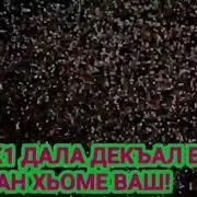 Дал Декъал Йойла Хьо Дал Ирсе Дойл Хьа Дахар