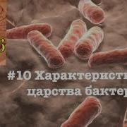 10 Параграф Биологии 5 Класс