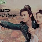 Bazaar Beloved Birds