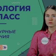 Культурные Растения 6 Класс