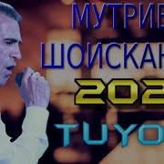 Мутриби Шоискандар 2023