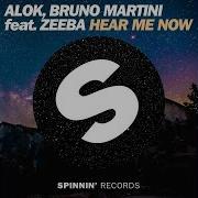 Alok Bruno Martini Feat Zeeba Hear Me Now Instrumental