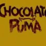 Chocolate Puma A Star Is Born