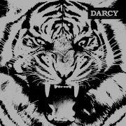 Darcy Tigre