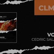 Cedric Salander Voices