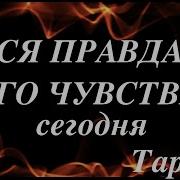 Тиана Таро Правда О Его Чувствах Сегодня А Есть Ли Любовь Таро Tarot Тиана Гадание На Любовь