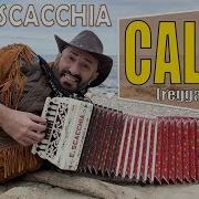 Calma Remix Reggaeton Enzo Scacchia Campione Del Mondo Di Organetto Pedro Capó Farruko