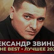 Александр Звинцов Лучшее 2021