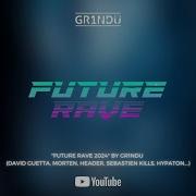 David Guetta Gr1Ndu Remix