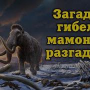 Передо Мною Пеплом Покрыта Земля