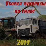 Уборка Кукурузы На Силос 2019