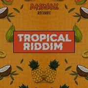 Tropical Riddim Onderkoffer