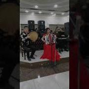 Феруза Холпа