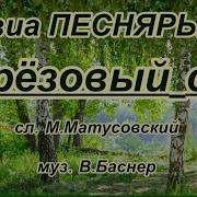 Сок Березовый Минус