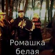 Песня Ромашка Белая Под Гармонь