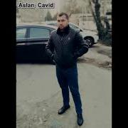 Aslan Cavid 2023