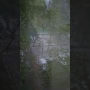Пусть За Окном Метель Ведет Свои Бои
