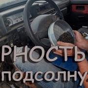 Сорность