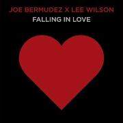 Joe Bermudez Lee Wilson Falling In Love Radio Edit