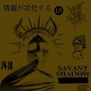 Savant Shadow 情報が劣化する Lp