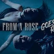Kiss From A Rose Goes Hard No Resolve Feat Kaylakingmusic Rock Cover