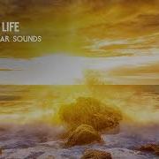 Kayzen Rhythm Of Life Extended Mix