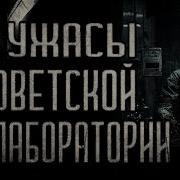 Страшные Истории Про Ученых