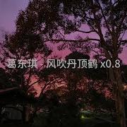 风吹丹顶鹤 0 8