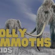 Wooly Mammoth